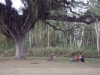 03_picknick