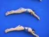 06_fassadenschwimmerinnen