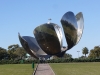 16_floralis_generica