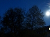 blauer_nachthimmel.jpg