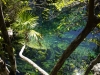 07_cenote_escondida