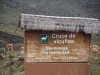 16_cruce_de_vicunas