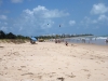 strand_li