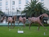 19_four_seasons_horses