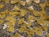 farfalle