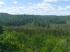 03_algonquin_park