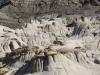 43_hoodoos