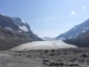 08_columbia_icefield