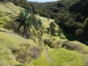 15_landschaft