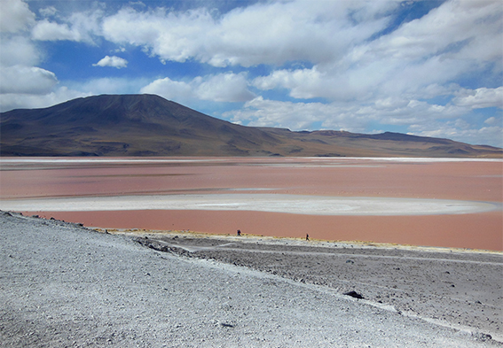 14_laguna_colorada