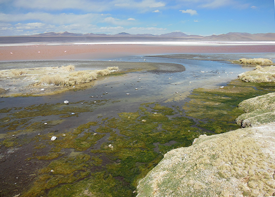 16_laguna_colorada
