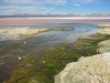 16_laguna_colorada