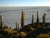 08_weites_salar_de_uyuni