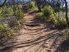 04_weg_nach_alto_de_garajonay