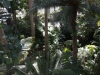 07_botanischer_garten