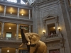 23_naturhistorisches_museum