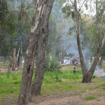 park