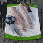 fisch_filetiert