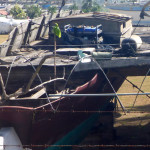 beim Schlendern entdeckt - neues Leben entsteht auf einem Holzboot